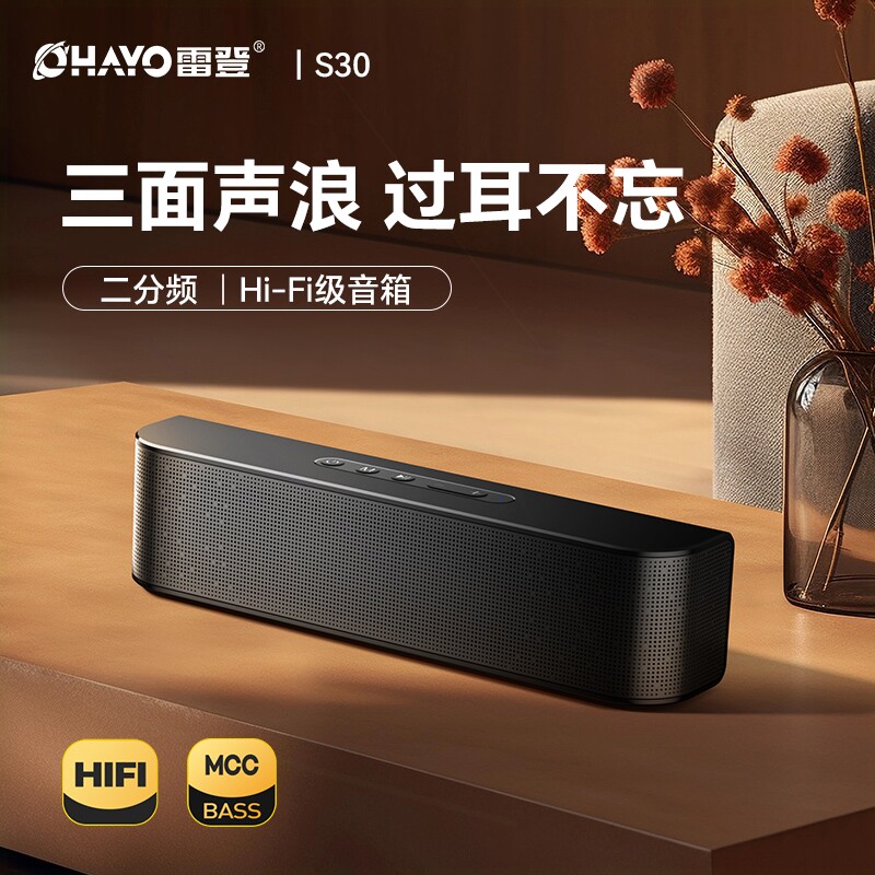 雷登S30音响蓝牙音箱60W大音量无户外小型低音炮HIFI高音质线家用