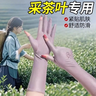 采茶专用手套夏季摘茶叶干活上班工作防晒长款女士薄透气骑行开车