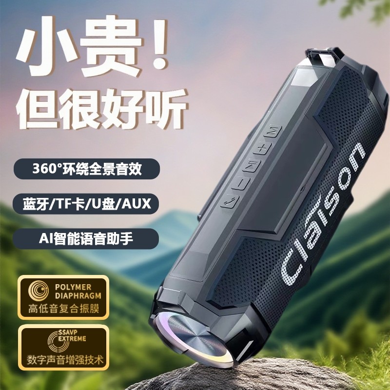 2025新款蓝牙音响家用双喇叭户外箱重低音炮大音量高音质便携式音