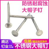 油沾钉毛毡钉 不锈钢大帽子钉 大圆头扁头平头钉 3238mm453毫米粗