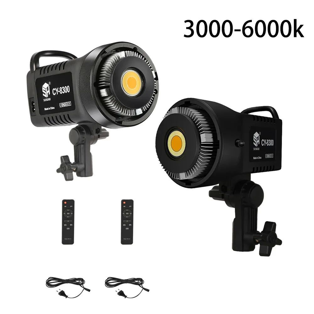 2-Pack 100W Photography Light Kit LED Video Studio Daylight-