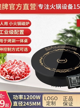 AOPA澳牌H5小型火锅圆形迷你嵌入炉1200W式商用电磁炉酒店火锅