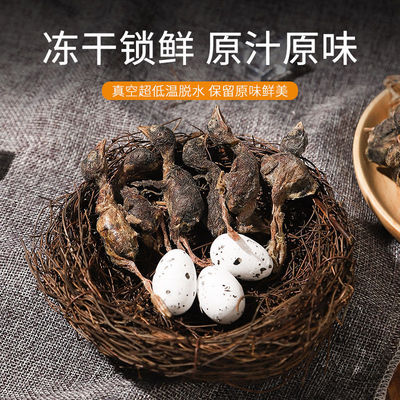 宠物冻干零食猫咪鸭肉辅粮小鹌鹑