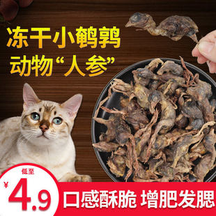 宠物零食冻干鹌鹑猫咪增肥发腮磨牙洁齿营养猫狗通用肉干生骨肉