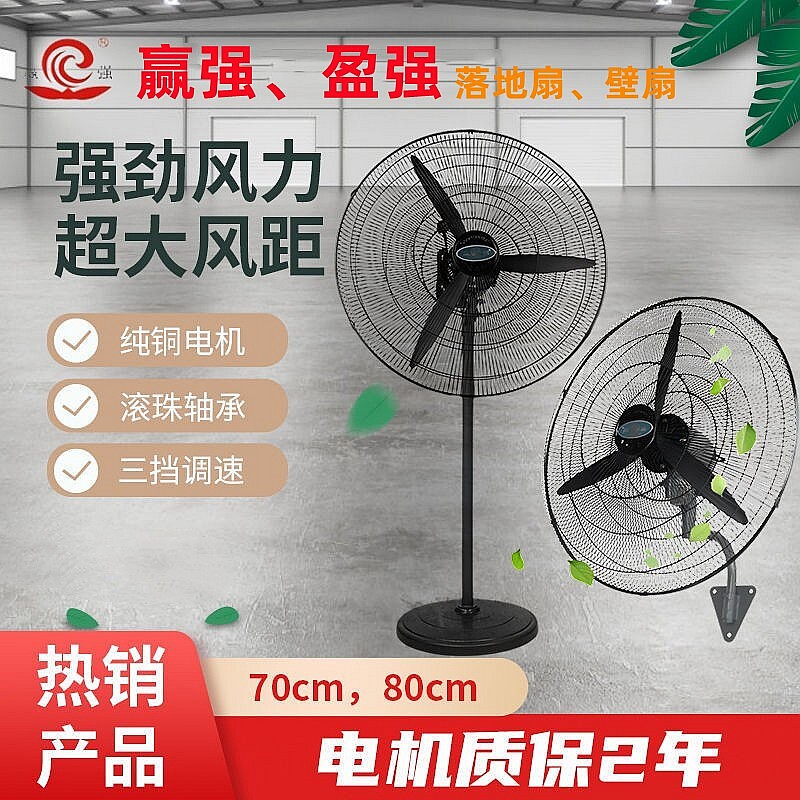 赢强盈强工业地扇挂壁扇大功率牛