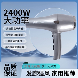 风大师8100诺德仕吹风机发型师负专用风筒离子2400W大功率理发店