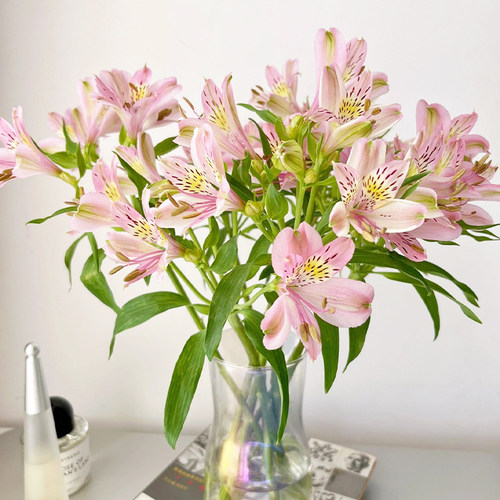 水仙百合鲜花六出花鲜切插花水培