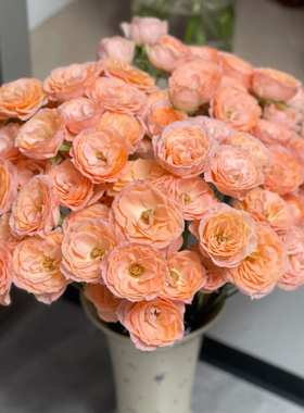 米奇多头玫瑰鲜花鲜切花室内水养新鲜瓶插花黄色玫瑰花束顺丰包邮