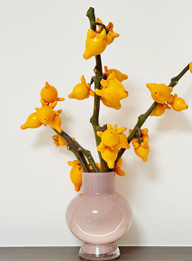 五代同堂黄金果鲜花云南直发鲜切花乳茄果福禄果插花五代果水培