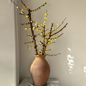 素心腊梅花鲜花云南直发插花腊梅水过年鲜花中国蜡梅带花苞鲜切花