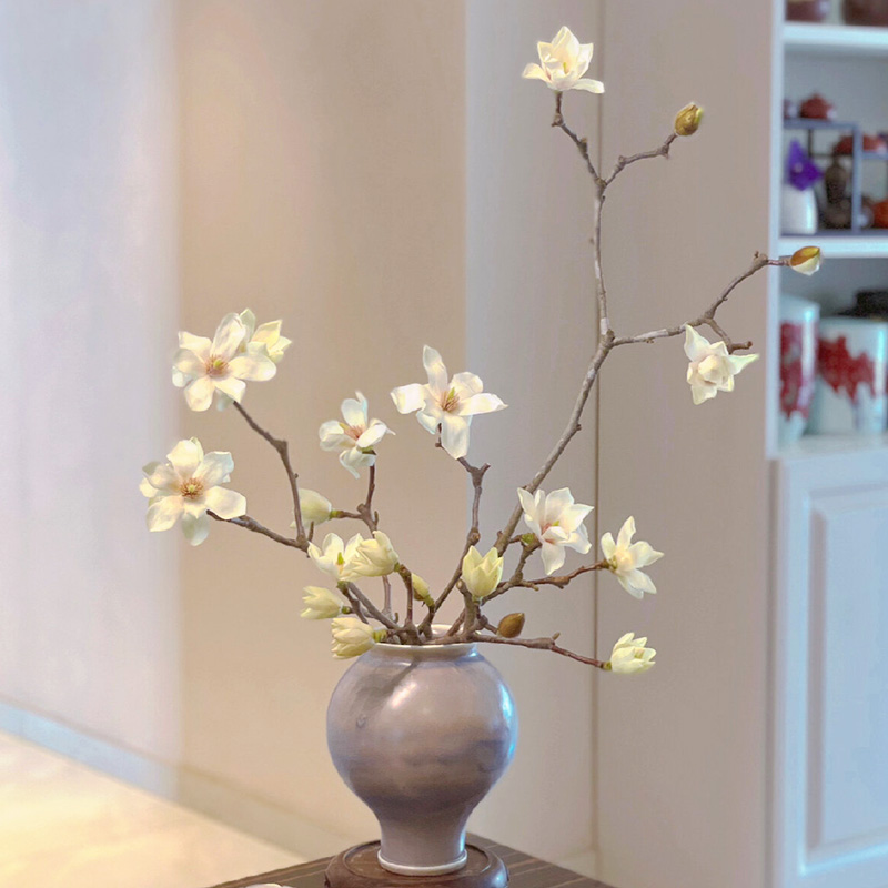 玉兰花鲜切水培鲜枝带花苞插花