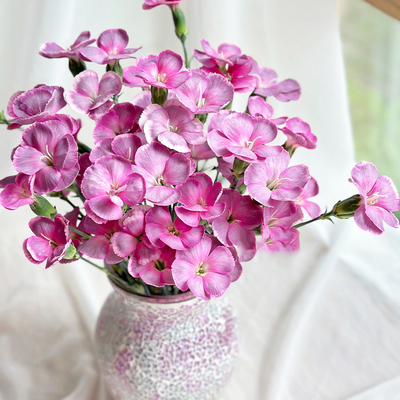 鲜切蝴蝶康乃馨鲜花客厅插花