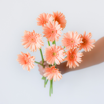 圣托里尼弗朗云南直发水养插花