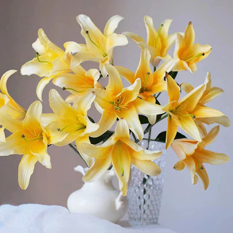 晚霞香水百合鲜花云南基地直发客厅装饰插花橙色插花百合花鲜切花,鲜花速递/花卉仿真/绿植园艺,花材,淘宝优惠券,粉丝福利购,淘宝优惠卷