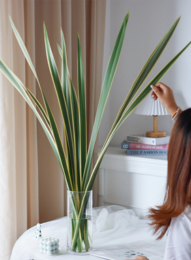 纽西兰叶鲜花云南基地直发线条型水培配叶花艺造型插花婚礼布置