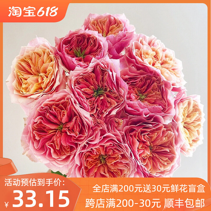 【梦金鹏】幻紫小粉兔肯辛顿公园单头玫瑰鲜花室内水养新鲜插花,鲜花速递/花卉仿真/绿植园艺,鲜花速递(同城),淘宝优惠券,粉丝福利购,淘宝优惠卷