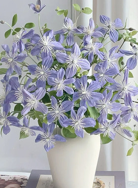 花蔓铁线莲鲜花云南直发鲜切花