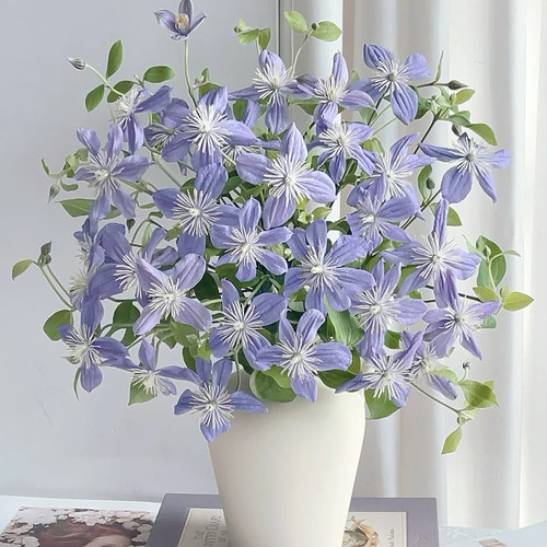花蔓铁线莲鲜花云南直发鲜切花