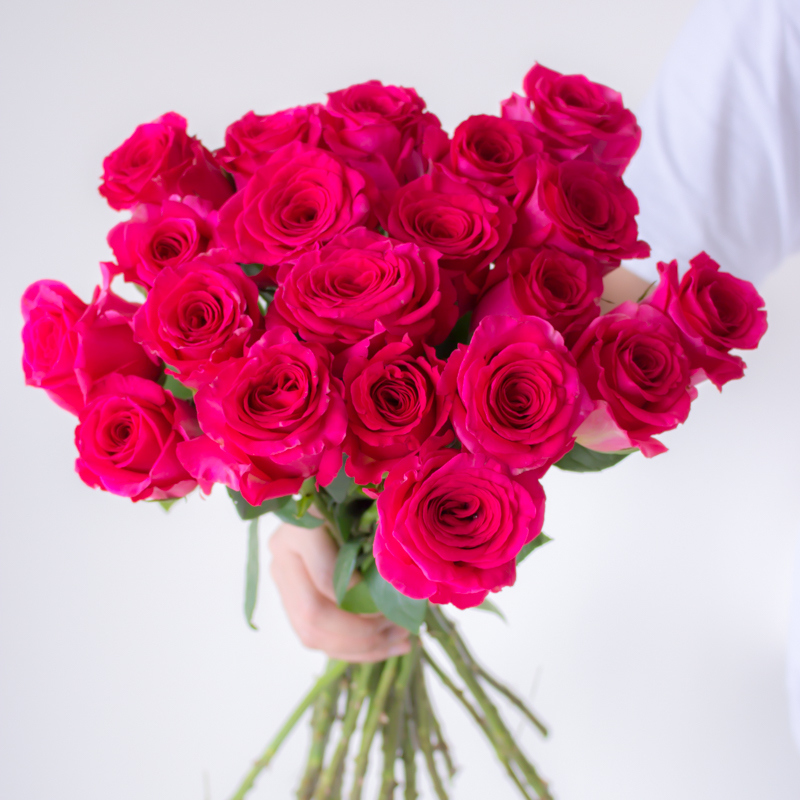 弗洛伊德玫瑰花鲜花云南直发水培鲜切花高端B级红色玫瑰花束插花