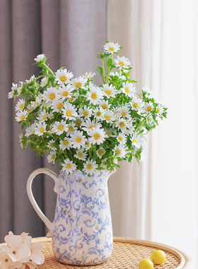 迷你菊鲜花云南基地直发家庭水养紫色鲜切花白色插花粉色礼物顺丰