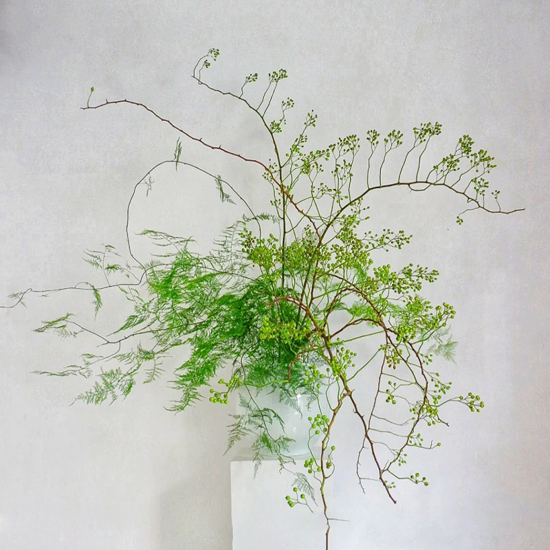山归来蔷薇果文竹鲜花云南直发室内水养新鲜插花居家水培绿植真花