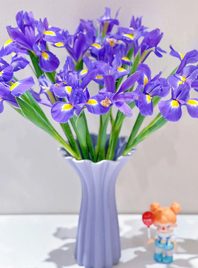 紫色鸢尾花鲜花云南基地直发家用水养新鲜插花束花马莲花鲜切花