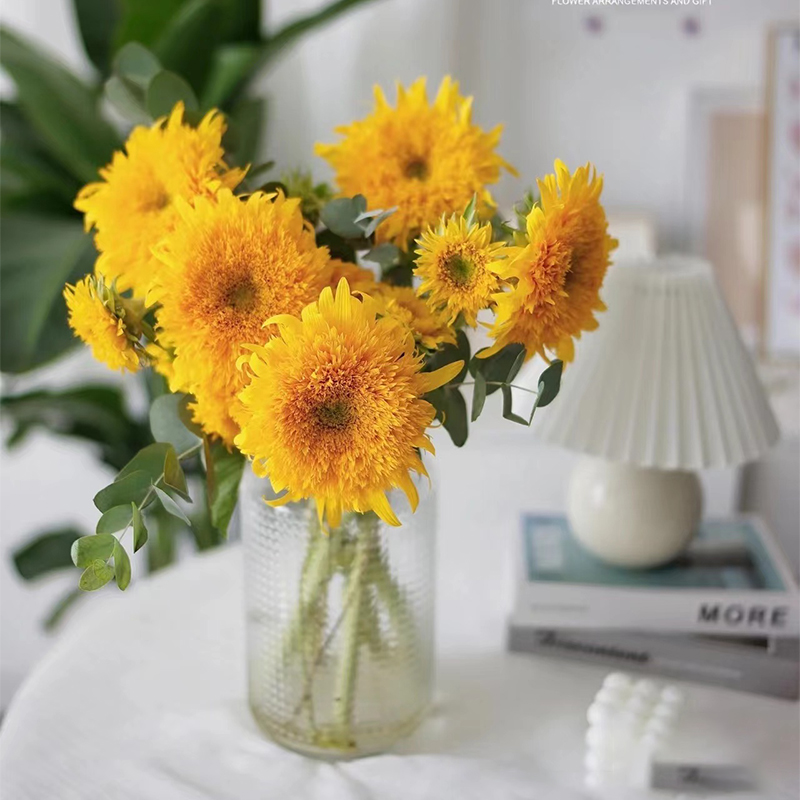 泰迪向日葵鲜花插花水培鲜切花