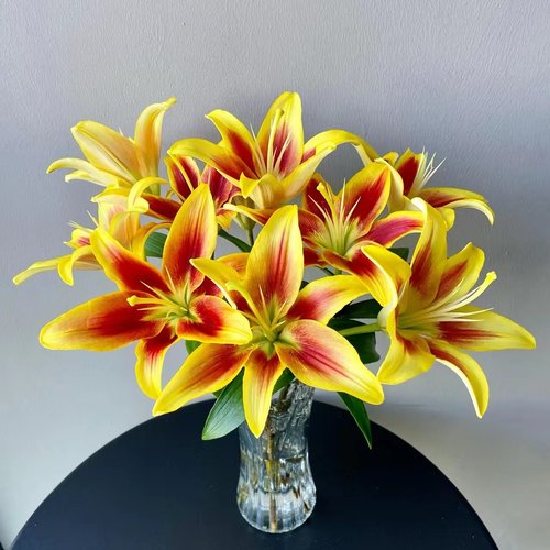 皇冠亚百合云南基地直发鲜切花