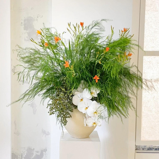 自然风治愈系白绿色插花桌花蝴蝶兰棕榈果射干鲜花室内水养花卉