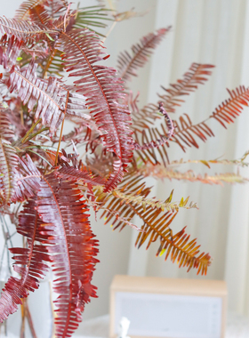 盲萁叶红色云南基地直发鲜切花办公室绿色水养新鲜插花节日礼物