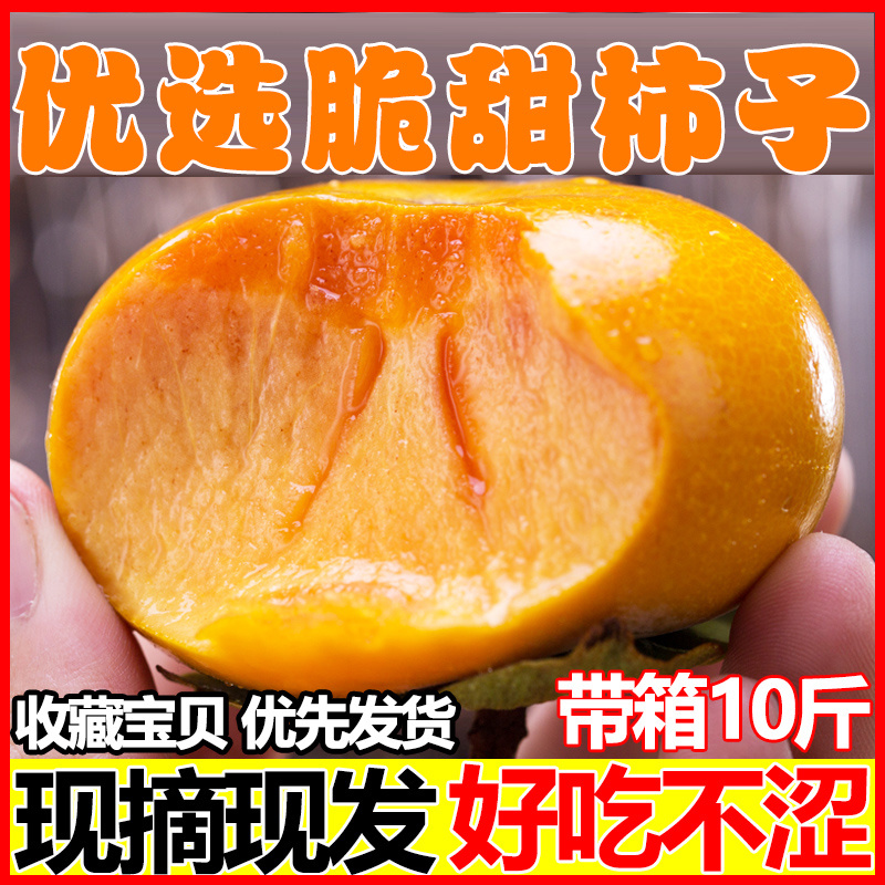 脆柿树上自然脱涩到货即食