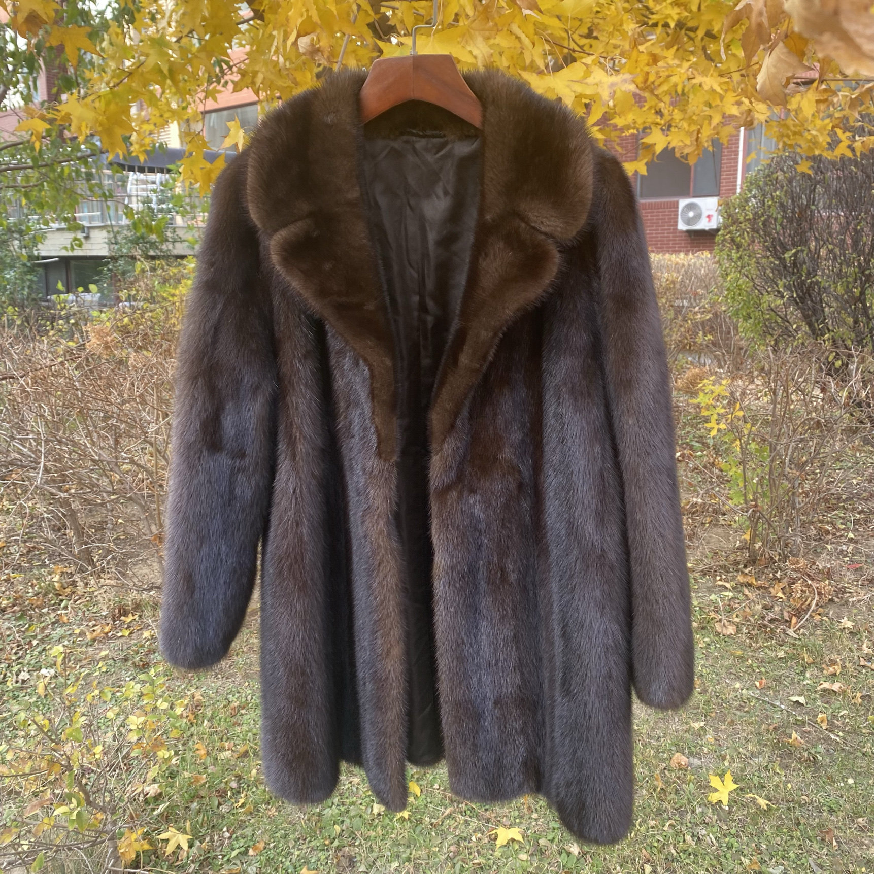 深咖色进口貂皮皮草大衣整貂超厚皮软绒厚紫貂的既视感成色非常好