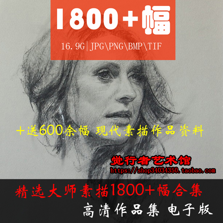 绘画大师素描临摹图片