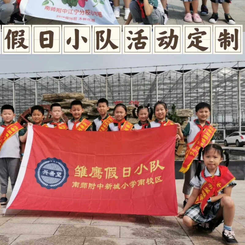 雏鹰假日小队队旗帜夏令营暑假暑期红色文化教育小学生手摇旗定制