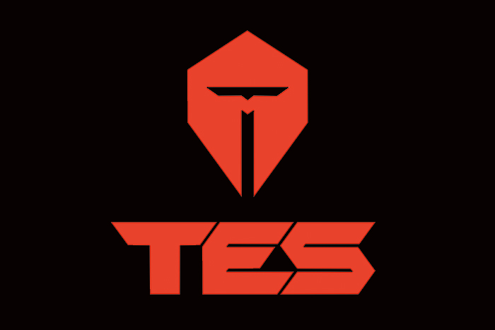 tes队旗英雄联盟竞技EDG