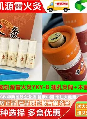 盈凯源雷火灸YKY-B002大艾柱艾条艾灸装置医用儿童成人款医用插孔