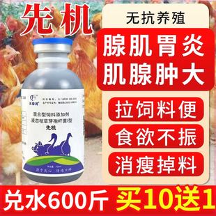 禽用鸡鸭鹅嗉囊胀气素囊炎腺肌胃炎饲料便吐水干吃不长养鸡专用