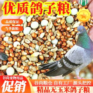清仓20装无玉米精品鸽粮鸽子饲料专用鸟食信鸽观赏鸽肉鸽粮鸽子粮