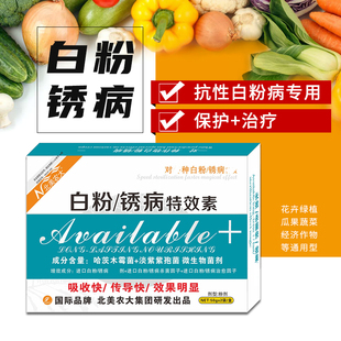 白粉锈病特效素农用杀菌剂番茄黄瓜葡萄草莓白粉病药北美农大专用