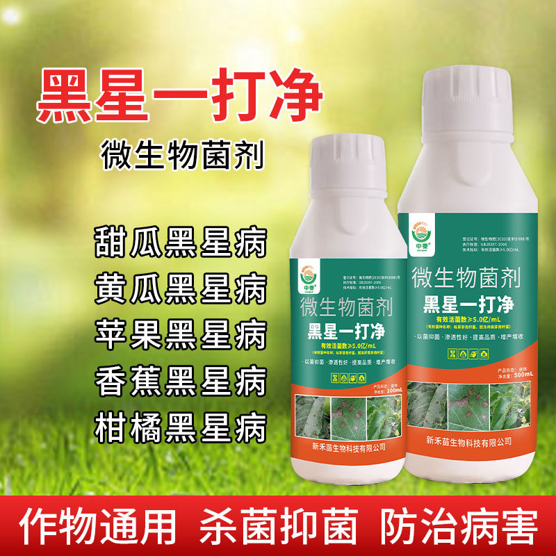 黑星病杀菌剂 黄瓜果树梨树黑星病 柑橘苹果香蕉植物黑星病专用药