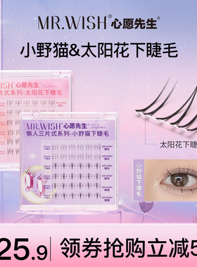 Mr.wish心愿先生小野猫太阳花下睫毛懒人三步曲自然仿真狐系睫毛