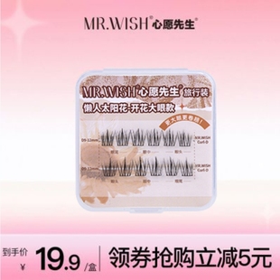 假睫毛 懒人太阳花D翘素颜分段式 Mr.wish 心愿先生开花大眼旅行装