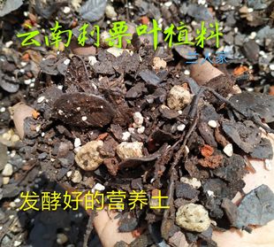 云南刺粟叶配料兰花营养土软植料腐叶土绿植花卉莲瓣兰春兰营养土