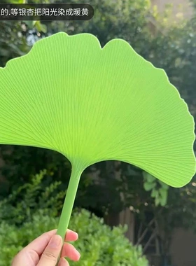 【拍一发二】到手2个幸运扇子银杏叶扇子夏天凉爽高颜值手摇扇