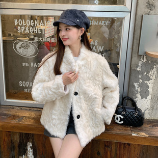 2025冬季仿皮草环保小湖羊年轻小个子宽松短款皮毛一体毛毛外套女