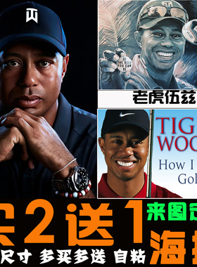 高尔夫球海报运动球场会所装饰画