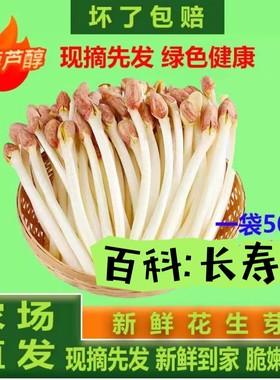 【现摘现发】新鲜花生芽苗菜食用花生苗花生豆芽新鲜花生火锅食材