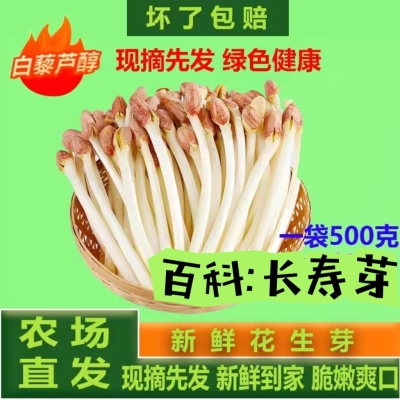 【现摘现发】新鲜花生芽苗菜食用花生苗花生豆芽新鲜花生火锅食材