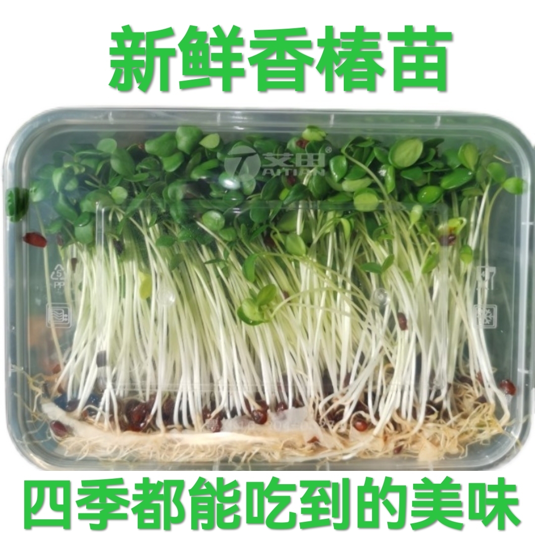 新鲜香椿芽苗菜香椿苗新鲜蔬菜香椿芽摆盘装饰当季现摘香椿煎蛋 水产肉类/新鲜蔬果/熟食 香椿芽 原图主图