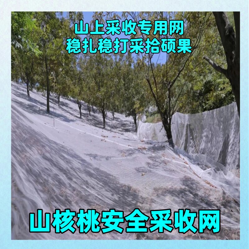 山核桃采收网铺地接果纱打坚果的
